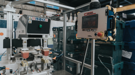 Proinsur calidad web-19