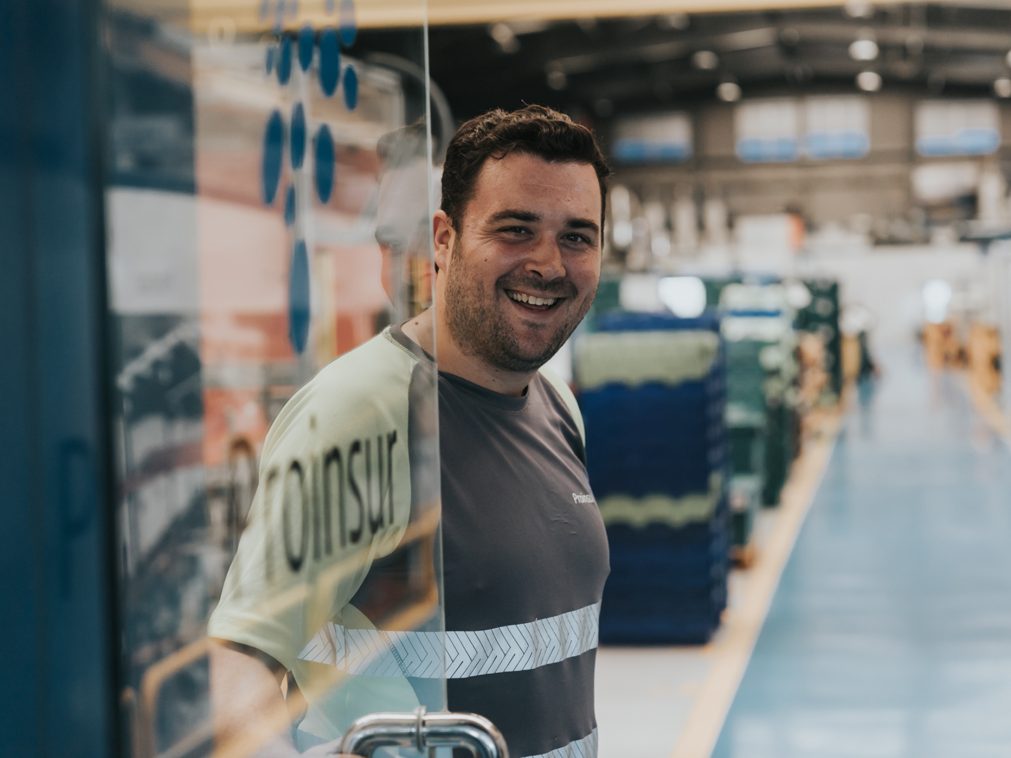 Proinsur calidad web